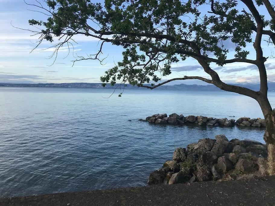 Appartement D'Exception - Vue Panoramique Sur Lac Evian-les-Bains